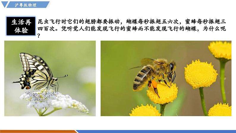 2.2 音调(同步课件)第2页