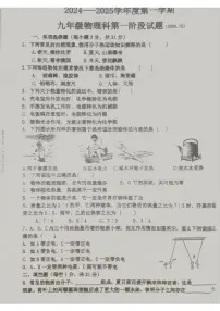 广东省揭阳市普宁市2024-2025学年九年级上学期第一次月考物理试卷