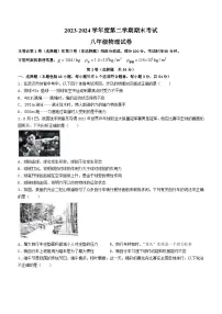 湖北省武汉市东湖高新区2023-2024学年八年级下学期期末物理试卷