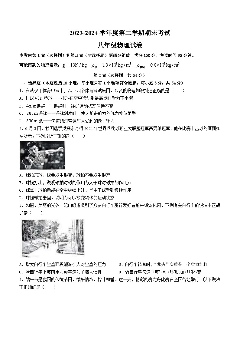 湖北省武汉市东湖高新区2023-2024学年八年级下学期期末物理试卷第1页