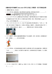 安徽省宿州市埇桥区2024-2025学年九年级上学期第一次月考物理试卷