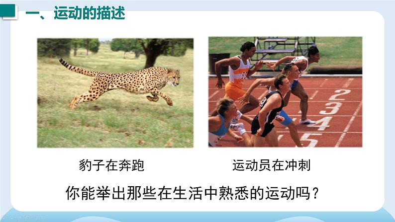 1 第一节 动与静-2024-2025学年沪科版八年级物理上册 PPT课件第4页