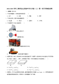 上海市金山实验中学2024-2025学年九年级上学期第一次月考物理试卷