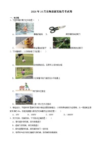 江苏省连云港市东海县新实验中学2024-2025学年九年级上学期10月份月考物理试卷