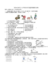 广东省东莞市厚街湖景中学2024-2025学年九年级上学期10月月考物理试题