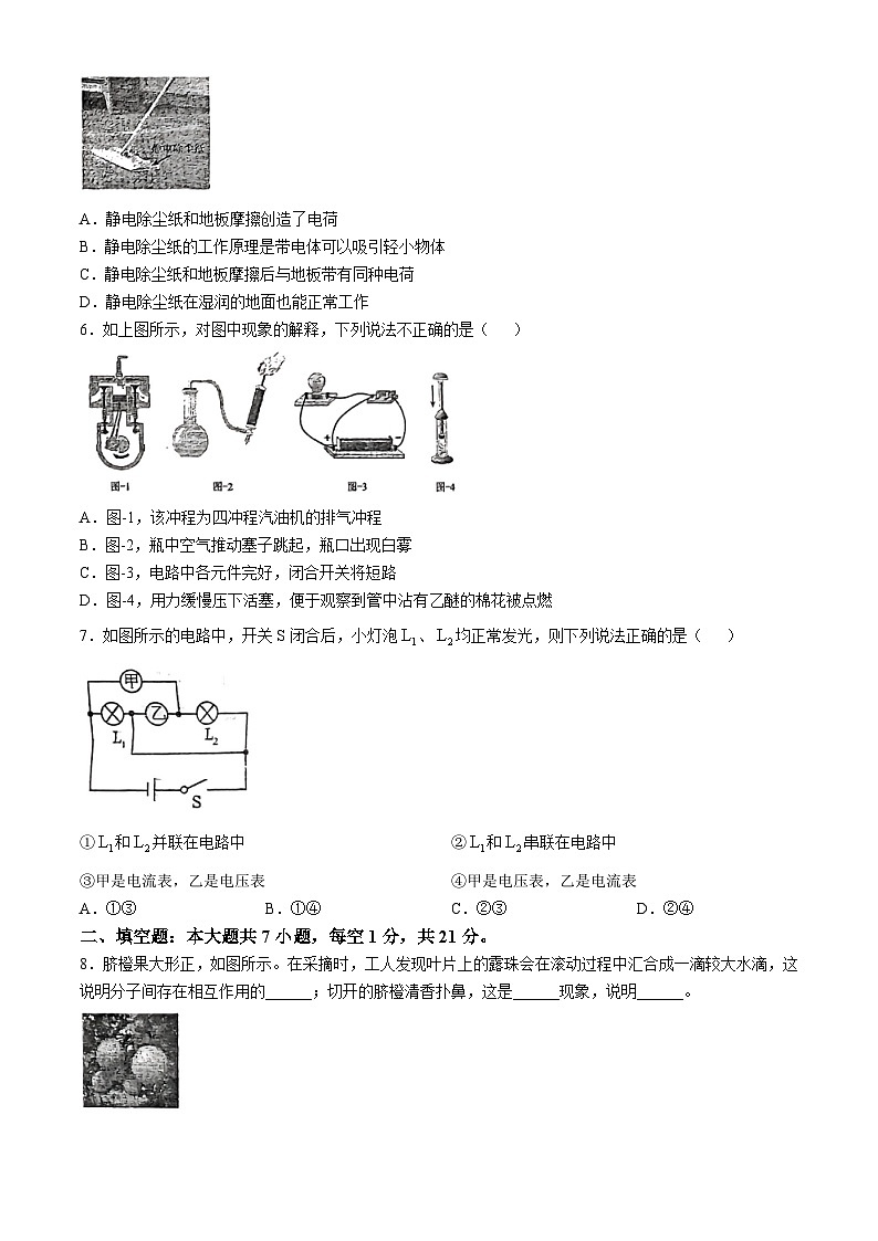 广东省梅州市丰顺县联考2024-2925学年九年级上学期10月月考物理试题第2页
