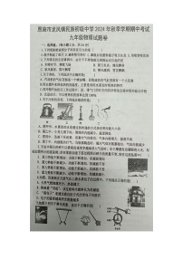 湖北省恩施市龙凤镇民族初级中学2024-2025学年上学期九年级物理期中试题+