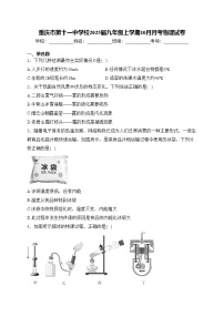 重庆市第十一中学校2025届九年级上学期10月月考物理试卷(含答案)