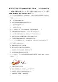 2023-2024学年辽宁省铁岭市西丰县九年级（上）期中物理试卷