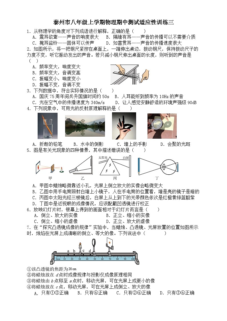 江苏省泰州市2024~2025学年八年级上学期物理期中测试适应性训练三第1页