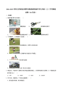 江苏省连云港市东海县新实验中学2024-2025学年九年级上学期月考物理试卷（10月份）
