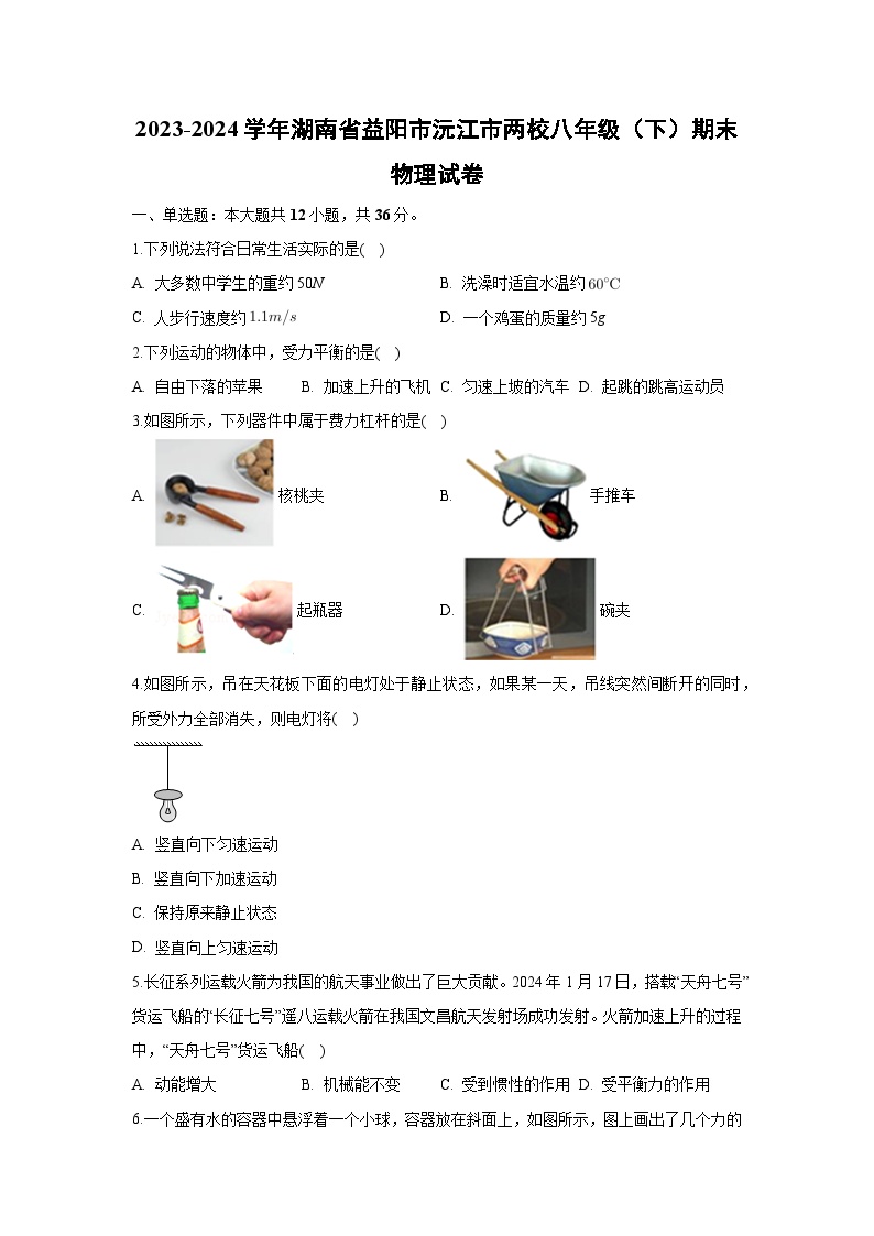 湖南省益阳市沅江市两校联考2023-2024学年八年级下学期7月期末物理试题