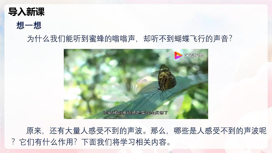 2.3 超聲波與次聲波—初中物理八年級(jí)全一冊(cè) 同步教學(xué)課件（滬科版2024）第4頁(yè)