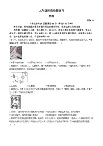 辽宁省大连市中山区2024—-2025学年九年级上学期期中物理试题