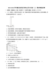湖北省武汉市洪山区2023-2024学年九年级上学期期末物理试卷