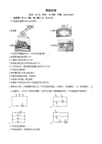 江苏省宿迁市宿城区2024-2025学年九年级上学期期中考试物理试卷(无答案)