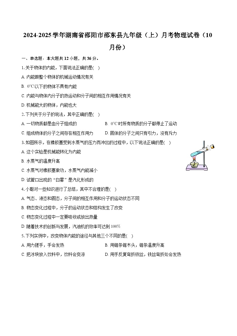 湖南省邵阳市邵东县2024-2025学年九年级上学期月考物理试卷（10月份）