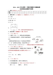 山东省淄博市2024-2025学年九年级上学期期中质量检测物理试卷