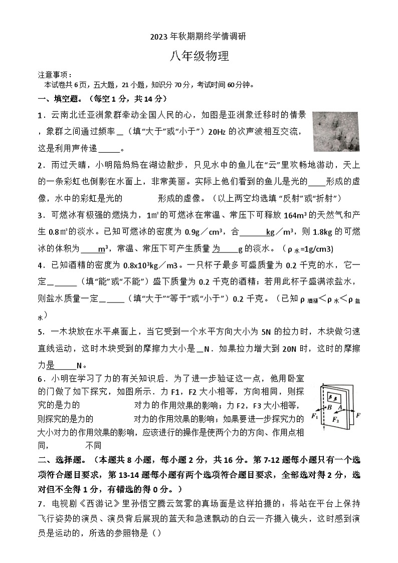 2023-2024学年河南省南阳市桐柏县八年级(上)期末物理试卷第1页