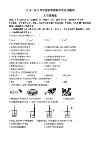 广西梧州岑溪市糯垌中学2024-2025学年八年级上学期期中物理试卷(无答案)