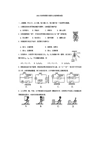 江苏省盐城市建湖县2024-2025学年九年级上学期11月期中物理试题