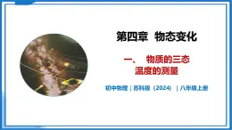 4.1 物质的三态 温度的测量—初中物理八年级上册 同步教学课件+同步练习（苏科版2024）