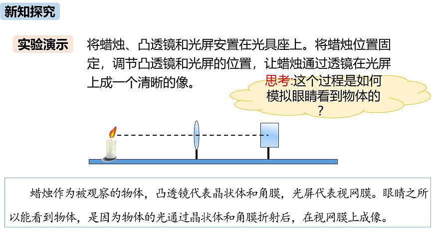 人教版（2024）八年級物理上學期5.4眼睛和眼鏡ppt課件第6頁