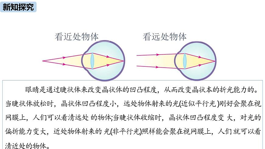 人教版（2024）八年級物理上學期5.4眼睛和眼鏡ppt課件第8頁
