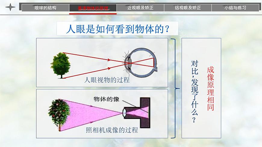 人教版（2024）八年級(jí)物理上學(xué)期5.4眼睛和眼鏡課件第5頁