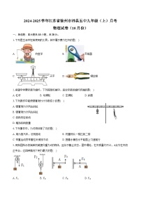 2024-2025学年江苏省徐州市沛县五中九年级（上）月考物理试卷（10月份）（含答案）