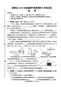 河南省南阳市新野县2024-2025学年八年级上学期11月期中物理试题