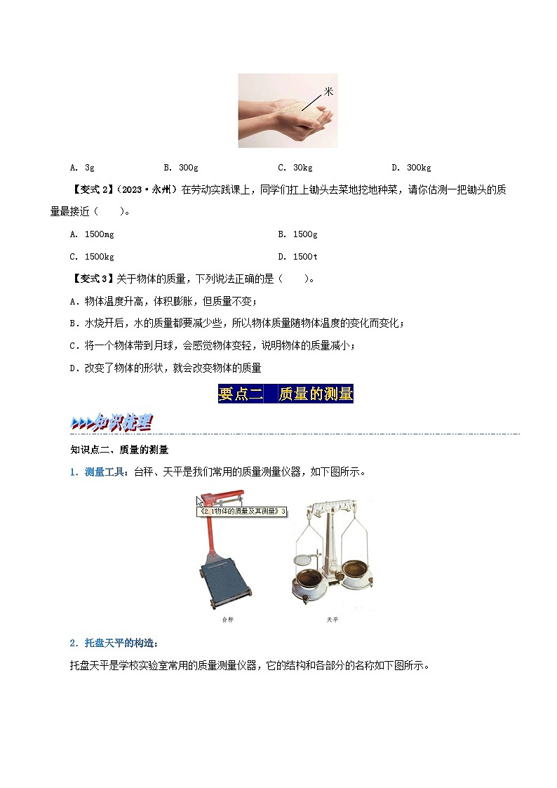 人教版八年级物理上册举一反三系6.1质量同步练习(原卷版+解析)第2页