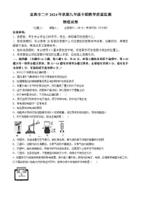 四川省宜宾市第二中学校2024-2025学年九年级上学期期中考试物理试题(无答案)