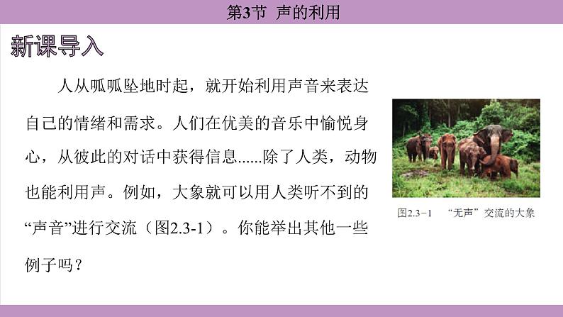 2.3 声的利用(课件)---2024-2025学年人教版物理八年级上册第3页