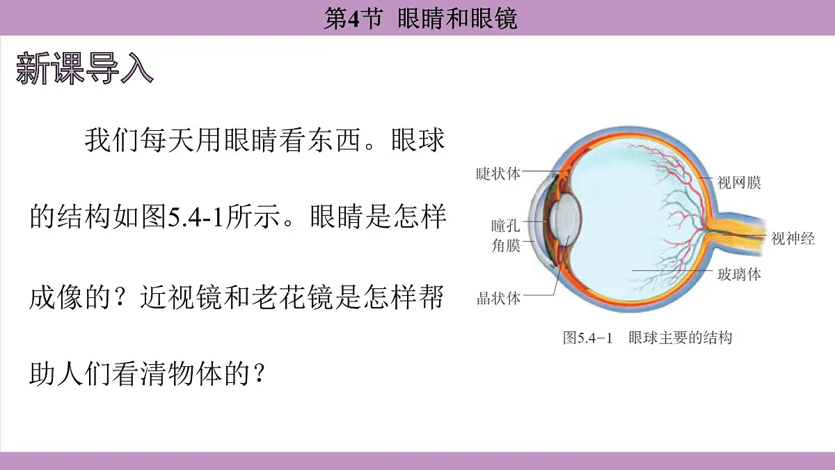 5.4 眼睛和眼镜(课件)---2024-2025学年人教版物理八年级上册第3页