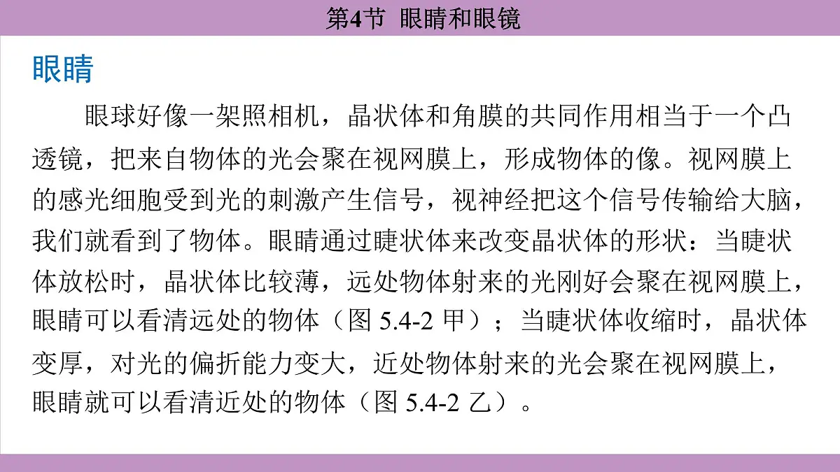 5.4 眼睛和眼镜(课件)---2024-2025学年人教版物理八年级上册第5页