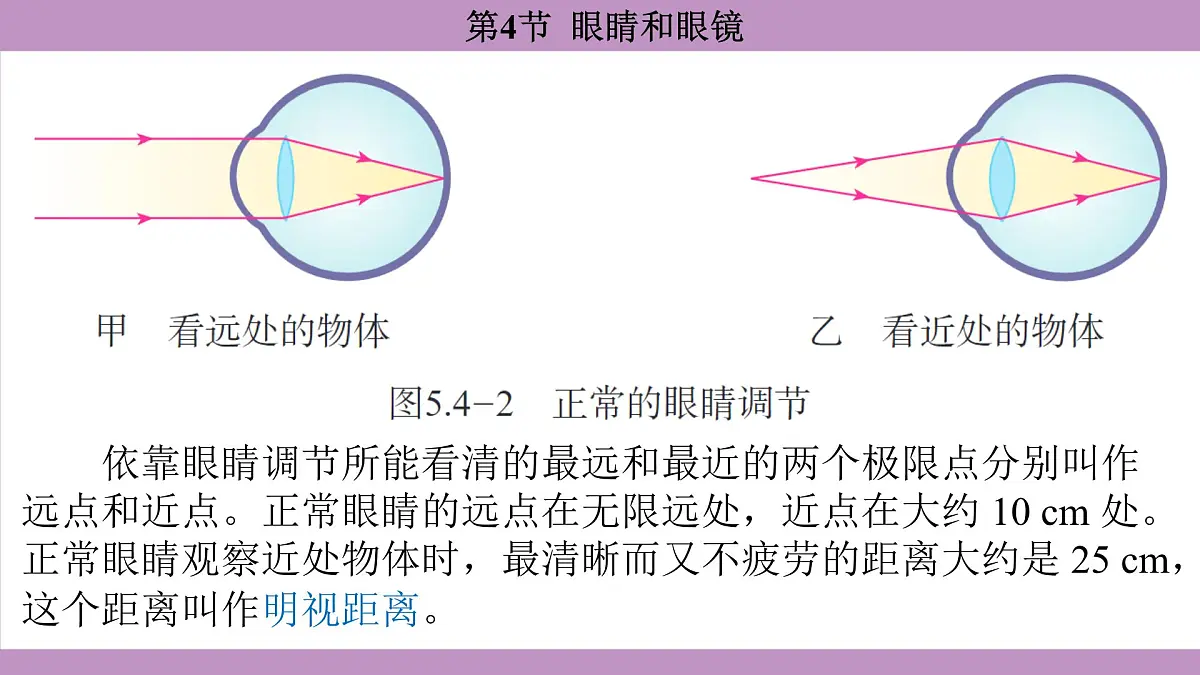 5.4 眼睛和眼镜(课件)---2024-2025学年人教版物理八年级上册第6页