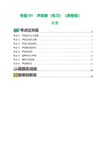 2025年中考物理一轮复习练与测专题01 声现象(练习)(解析版)