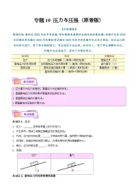 2025年中考物理一轮复习考点过关练习专题10 压力与压强(解析版)
