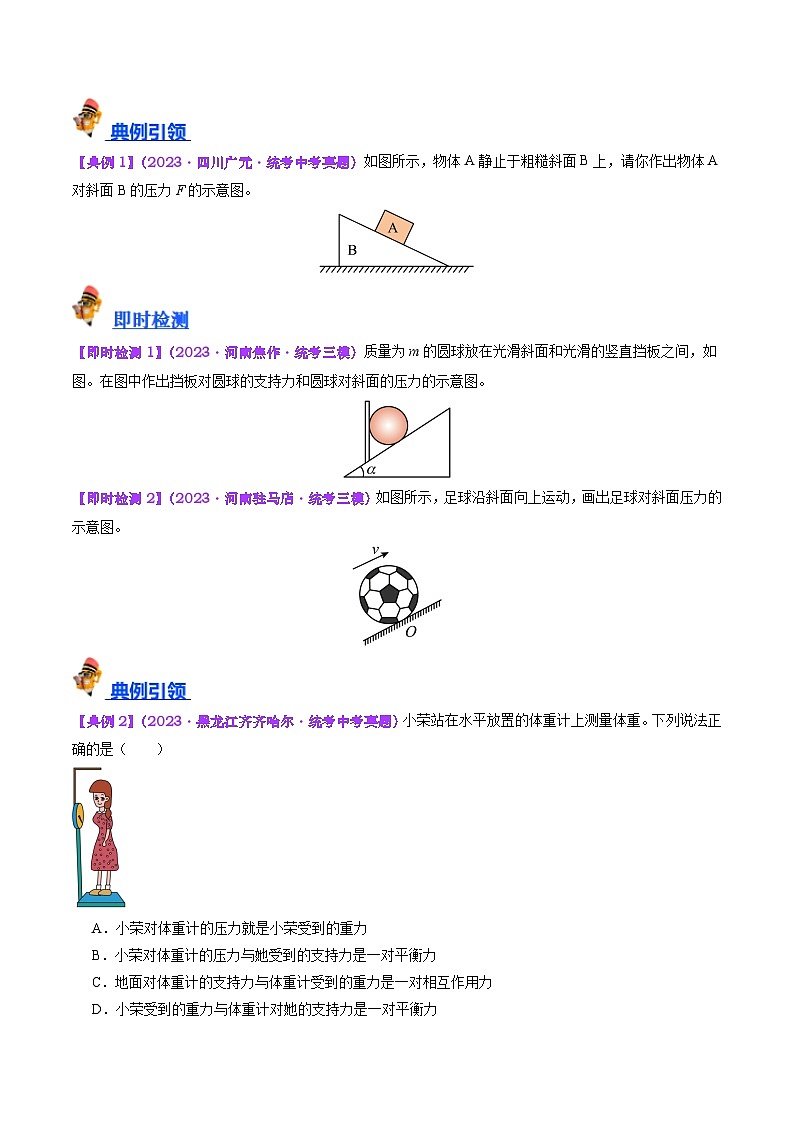 2025年中考物理一轮复习考点过关练习专题10 压力与压强(原卷版)第3页