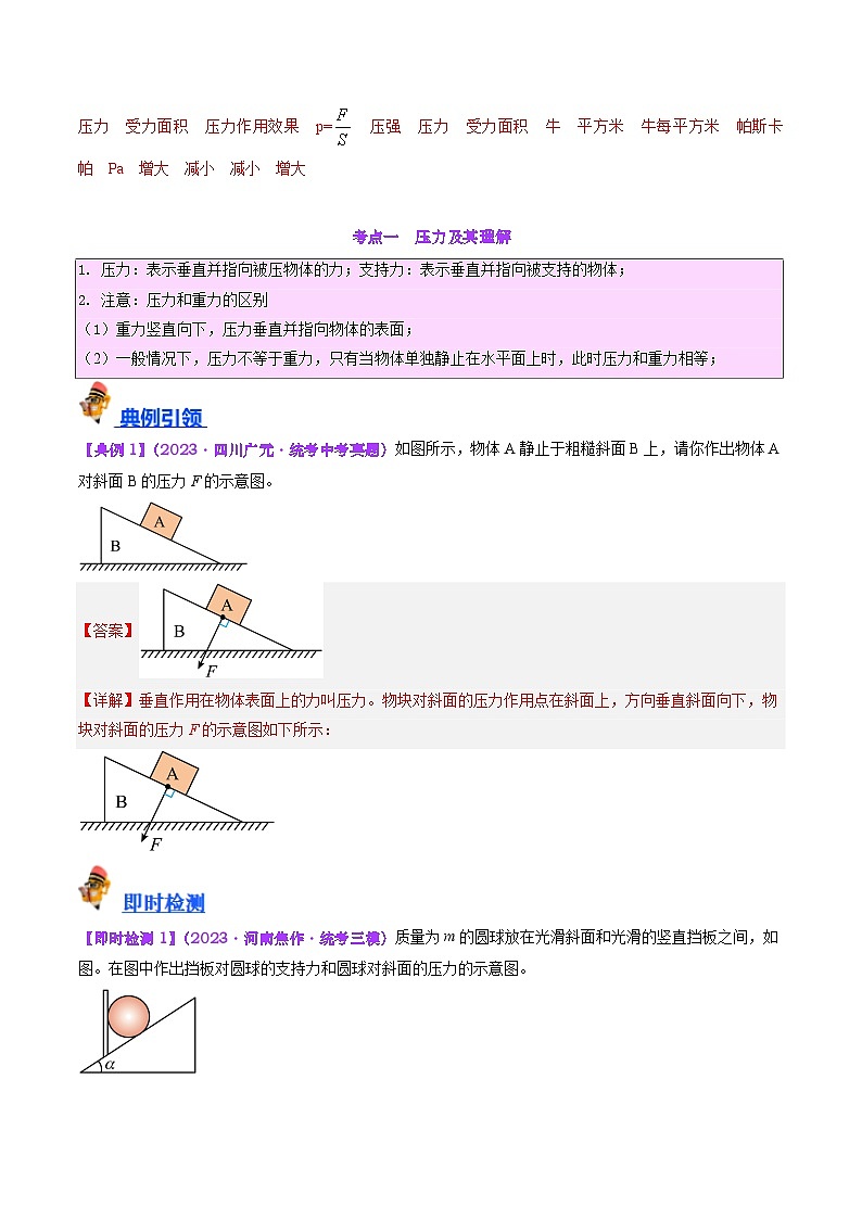 2025年中考物理一轮复习考点过关练习专题10 压力与压强(解析版)第3页