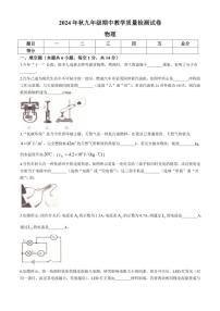 河南省驻马店市上蔡县2024～2025学年九年级上学期11月期中素质测试物理试卷（含答案）