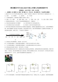 福建省莆田市擢英中学2024～2025学年九年级(上)期中物理试卷(含答案)