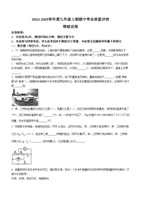 河南省漯河市召陵区2024-2025学年九年级上学期11月期中物理试题