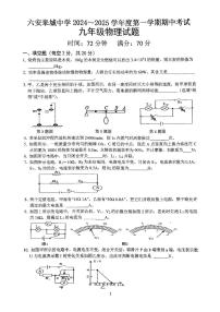 安徽省六安市金安区六安皋城中学2024-2025学年九年级上学期11月期中物理试题