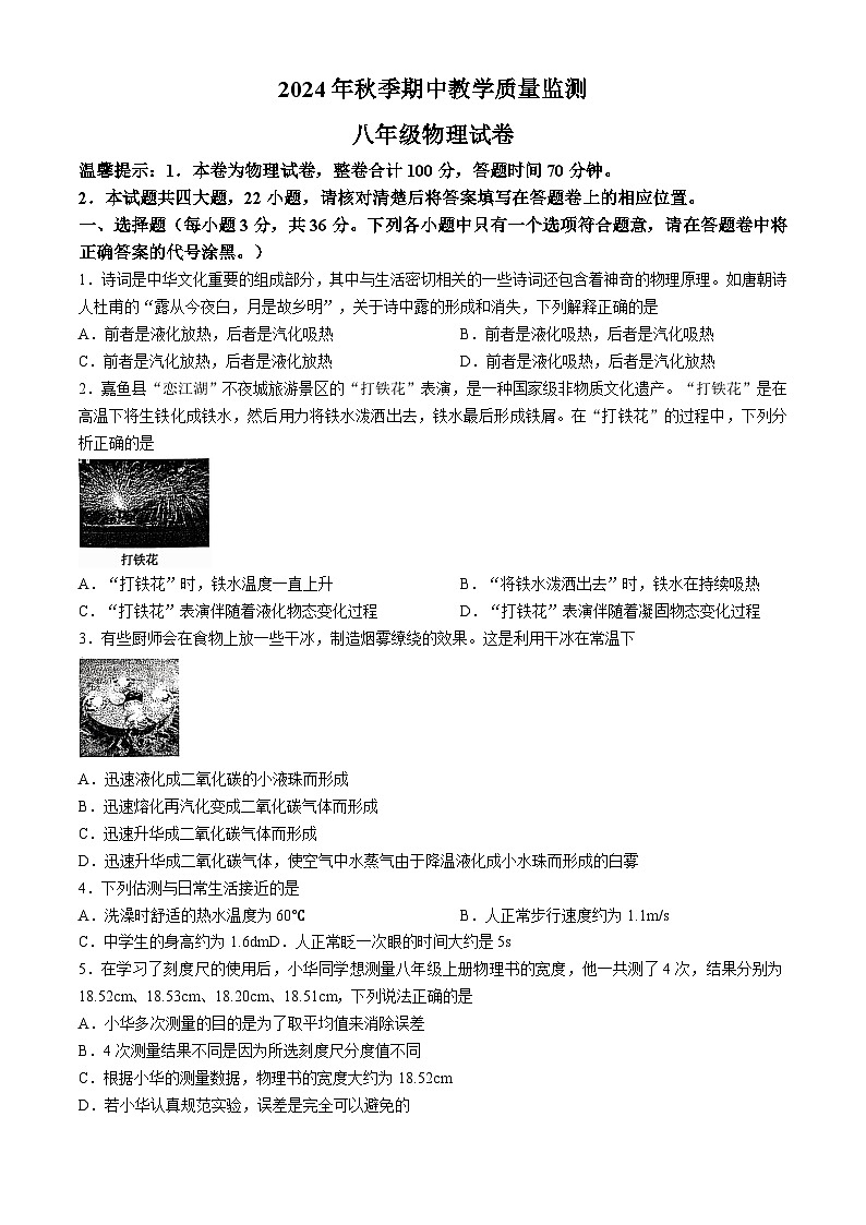 湖北省咸宁市嘉鱼县2024-2025学年八年级上学期期中物理试题第1页