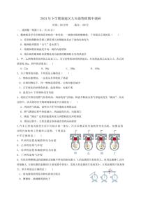湖南省岳阳市湘阴县洞庭区联考2024~2025学年九年级(上)期中物理试卷(含答案)