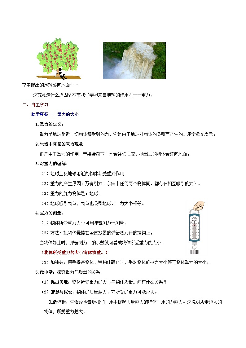 6.3 来自地球的力(教学设计)第2页