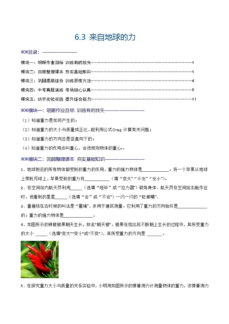 6.3 来自地球的力(练习)第1页