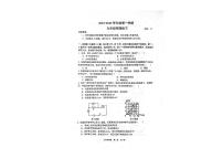 辽宁省大连市瓦房店市2024-2025学年九年级上学期期中考试物理试卷